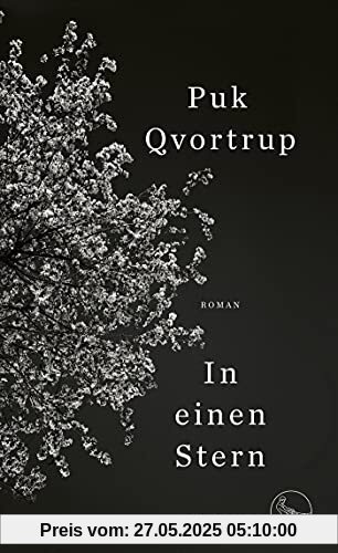 In einen Stern: Roman