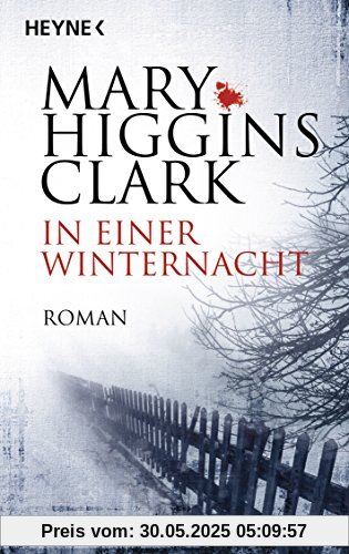 In einer Winternacht: Roman