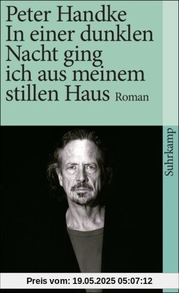 In einer dunklen Nacht ging ich aus meinem stillen Haus: Roman (suhrkamp taschenbuch)