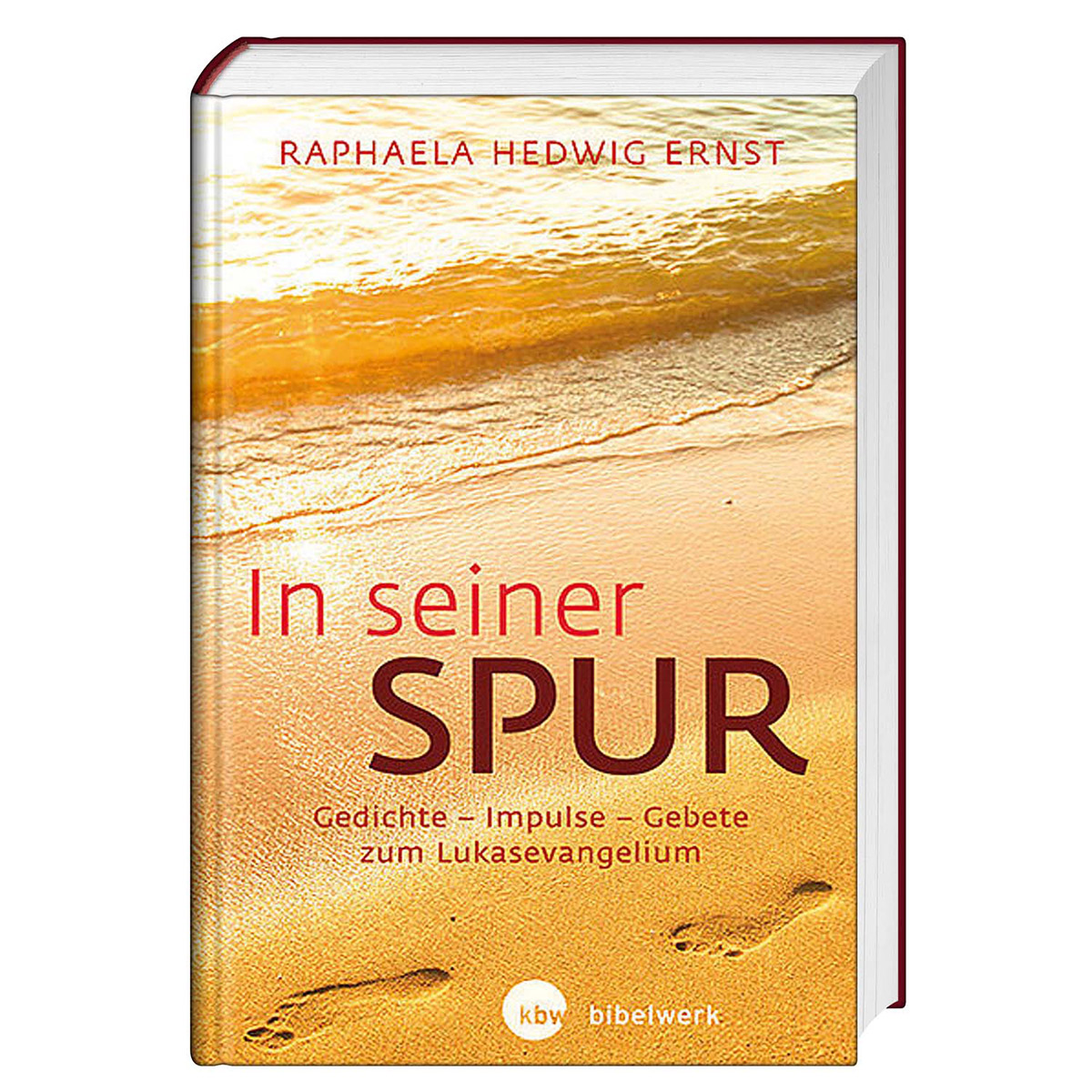 In seiner Spur In seiner Spur von Katholisches Bibelwerk