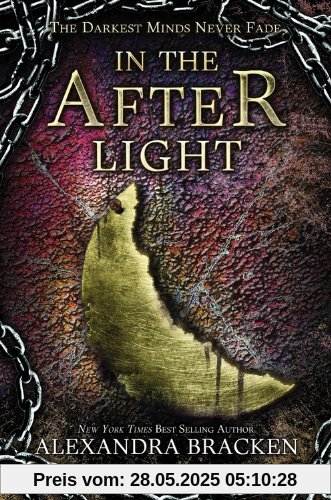 In the Afterlight: A Darkest Minds Novel In the Afterlight: A Darkest Minds Novel