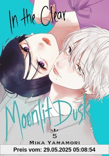 In the Clear Moonlit Dusk 5