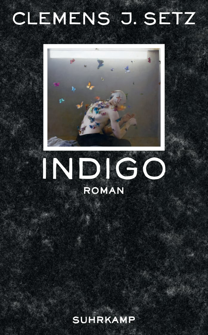 Indigo Indigo von Suhrkamp Verlag