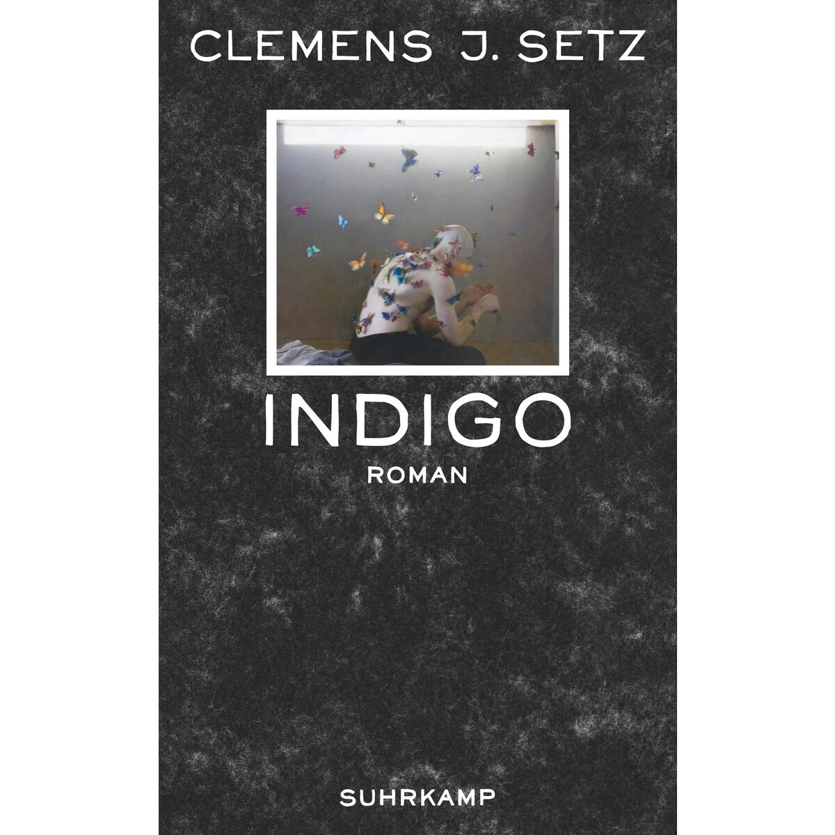 Indigo Indigo von Suhrkamp Verlag