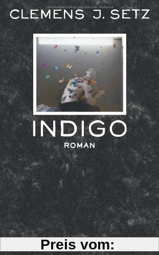 Indigo: Roman (suhrkamp taschenbuch)