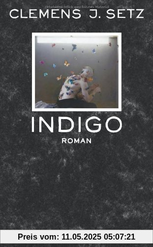 Indigo: Roman (suhrkamp taschenbuch)