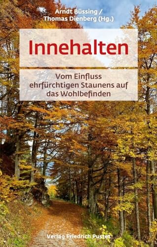 Innehalten: Vom Einfluss ehrfürchtigen Staunens auf das Wohlbefinden von Pustet, F