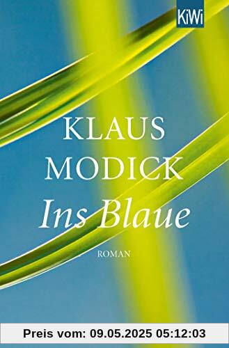 Ins Blaue: Roman