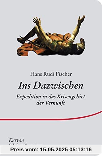 Ins Dazwischen: Expedition in das Krisengebiet der Vernunft (Kurven)