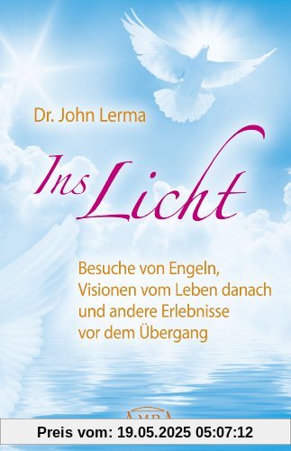 Ins Licht. Besuche von Engeln, Visionen vom Leben danach und andere Erlebnisse vor dem Übergang Ins Licht. Besuche von Engeln, Visionen vom Leben danach und andere Erlebnisse vor dem Übergang