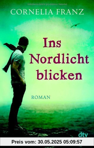 Ins Nordlicht blicken: Roman