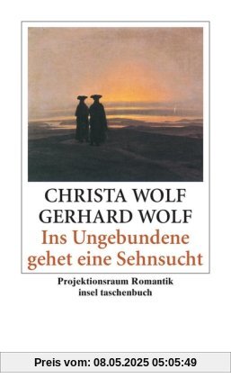 Ins Ungebundene gehet eine Sehnsucht: Projektionsraum Romantik (insel taschenbuch)