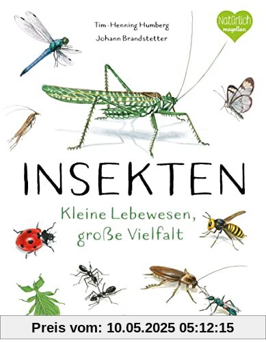 Insekten - Kleine Lebewesen, große Vielfalt