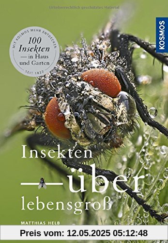 Insekten überlebensgroß