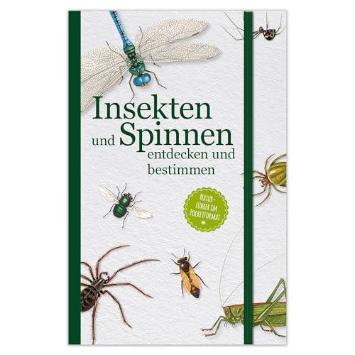Insekten und Spinnen entdecken und bestimmen: Naturführer im Pocketformat zur Bestimmung von Insekten und Spinnen – ideal für Naturfreunde und Entdecker Insekten und Spinnen entdecken und bestimmen: Naturführer im Pocketformat zur Bestimmung von Insekten und Spinnen – ideal für Naturfreunde und Entdecker von LINGEN