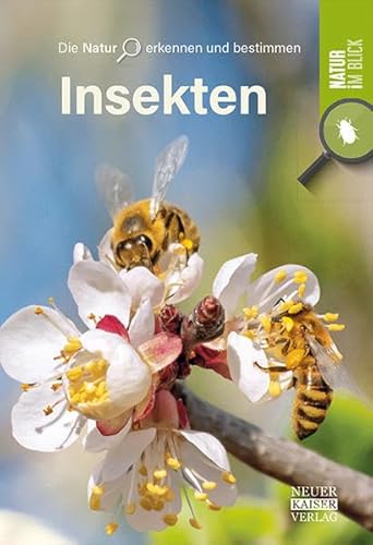 Insekten: Die Natur erkennen und bestimmen - Natur im Blick