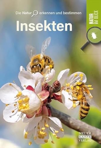 Insekten: Die Natur erkennen und bestimmen - Natur im Blick von Neuer Kaiser Verlag