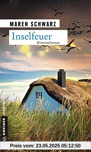 Inselfeuer: Kriminalroman