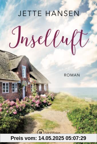 Inselluft (Stürmische Zeiten auf Föhr, Band 1)