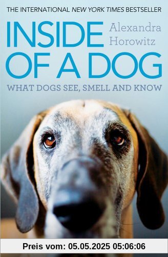 Inside of a Dog
