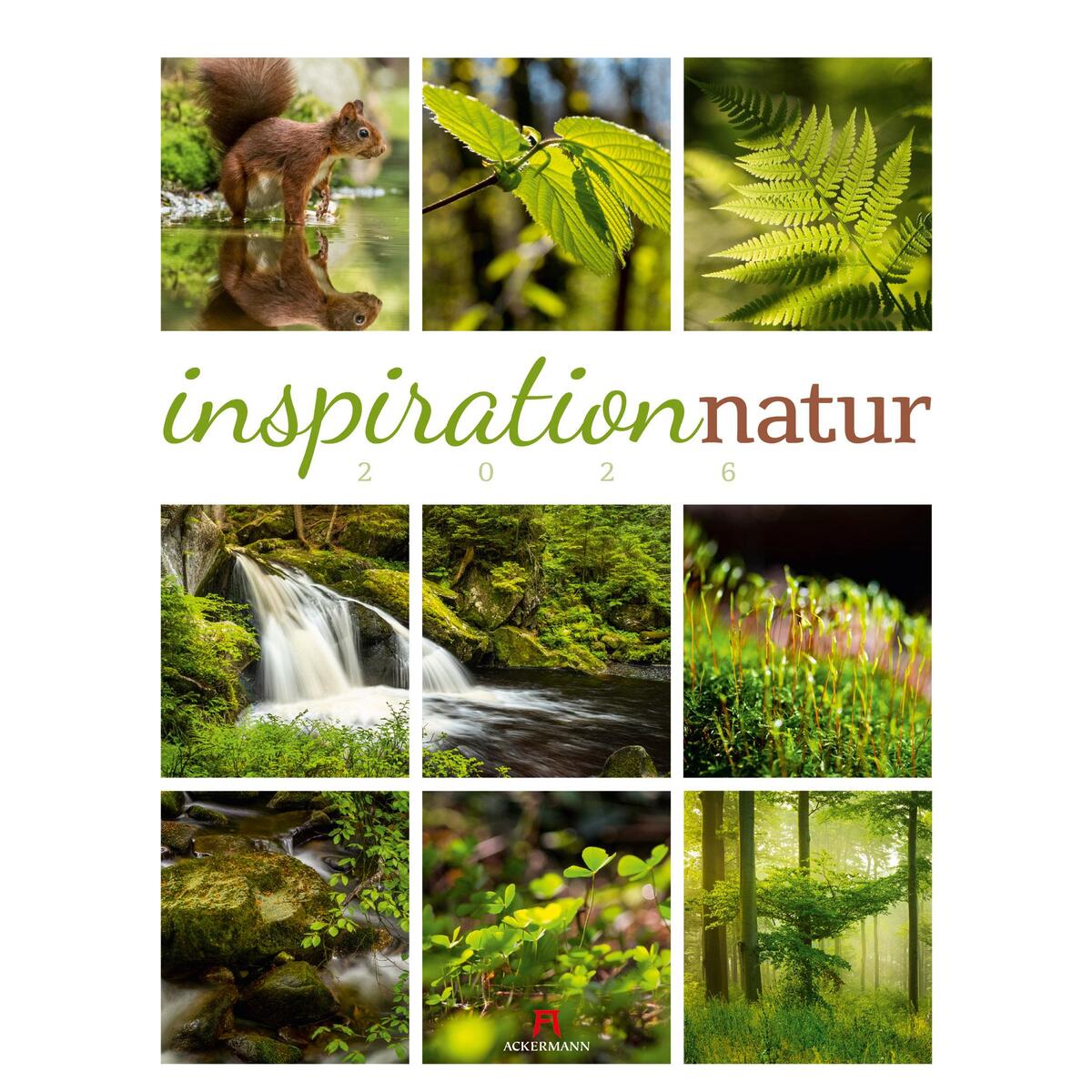Inspiration Natur Kalender 2026 Inspiration Natur Kalender 2026 von Ackermann Kunstverlag