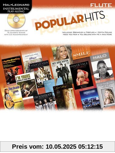 Instrumental Play Along Popular Hits Flt BK/CD Instrumental Play Along Popular Hits Flt BK/CD