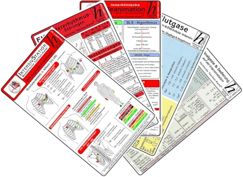 Intensiv-Station Karten-Set 2025 - EKG Diagnostik & Ableitungen, Herzrhythmusstörungen, Reanimation - Innerklinisch, Blutgase, Säure-Basen & ... Analgesie & Sedierung auf der Intensivstation Intensiv-Station Karten-Set 2025 - EKG Diagnostik & Ableitungen, Herzrhythmusstörungen, Reanimation - Innerklinisch, Blutgase, Säure-Basen & ... Analgesie & Sedierung auf der Intensivstation