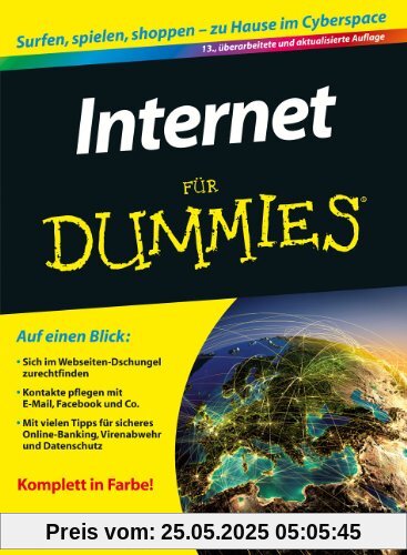 Internet für Dummies (Fur Dummies)