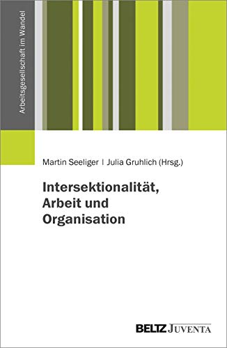Intersektionalität, Arbeit und Organisation (Arbeitsgesellschaft im Wandel) von Beltz