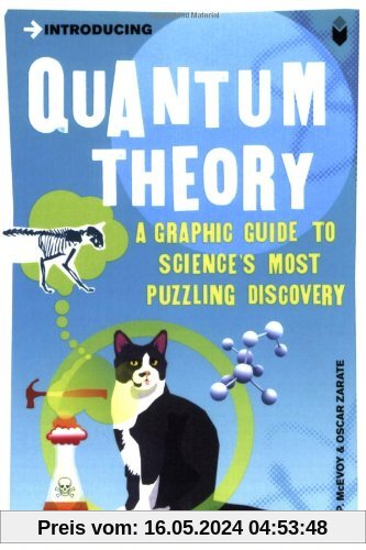 Introducing Quantum Theory: A Graphic Guide