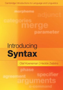 Introducing Syntax von Cambridge University Press
