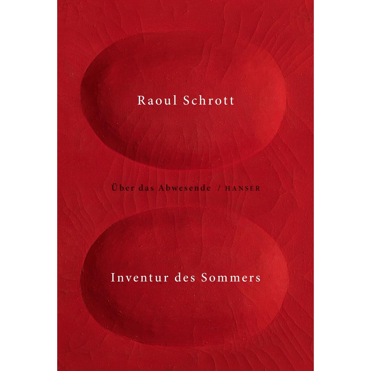 Inventur des Sommers von Carl Hanser Verlag