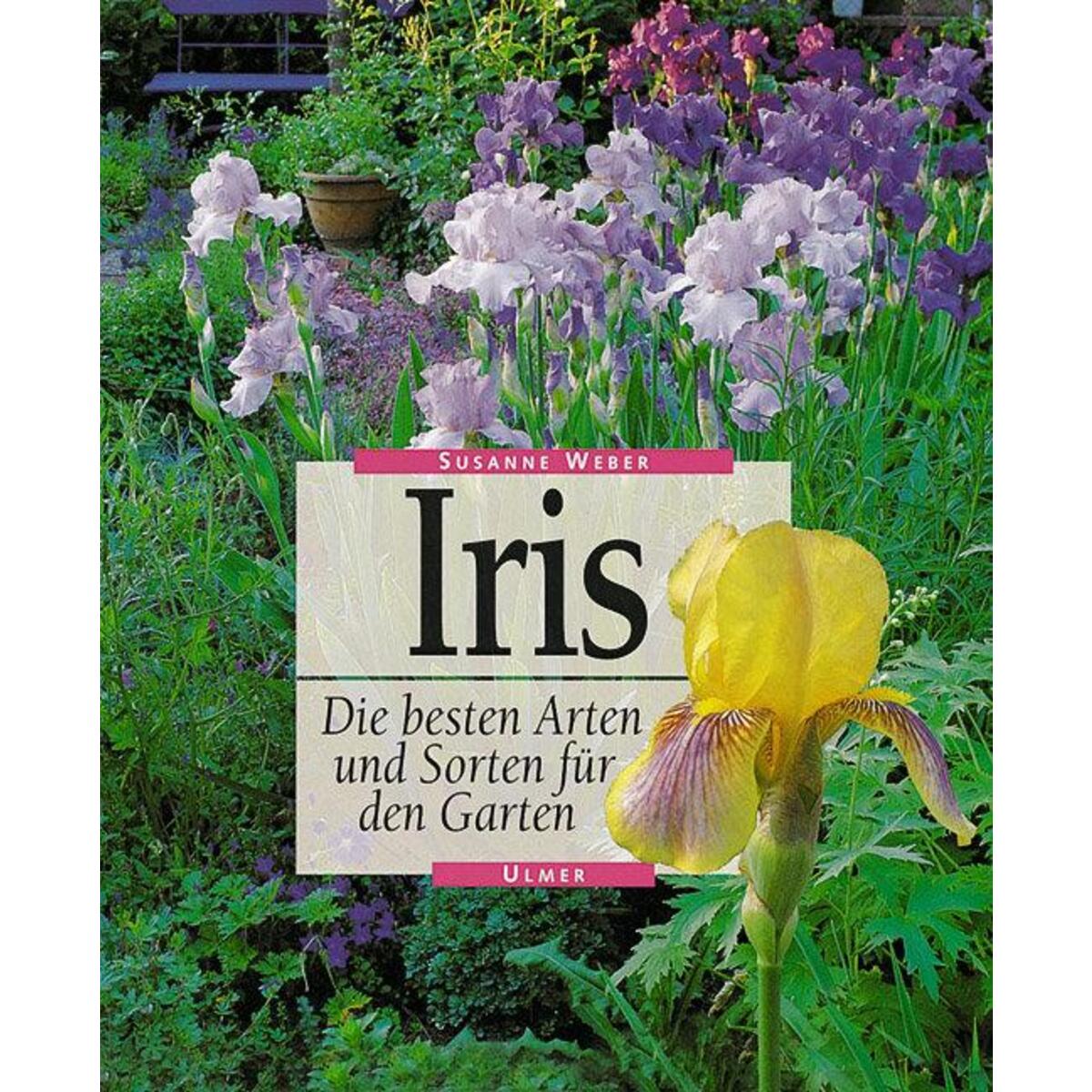 Iris von Ulmer Eugen Verlag