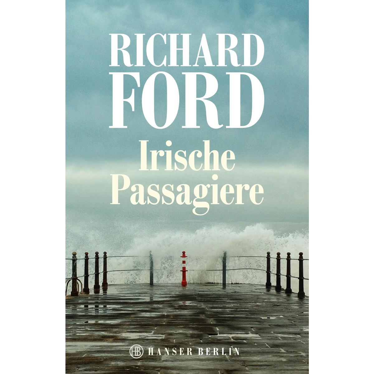 Irische Passagiere von Hanser Berlin
