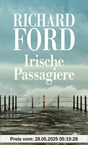 Irische Passagiere: Erzählungen