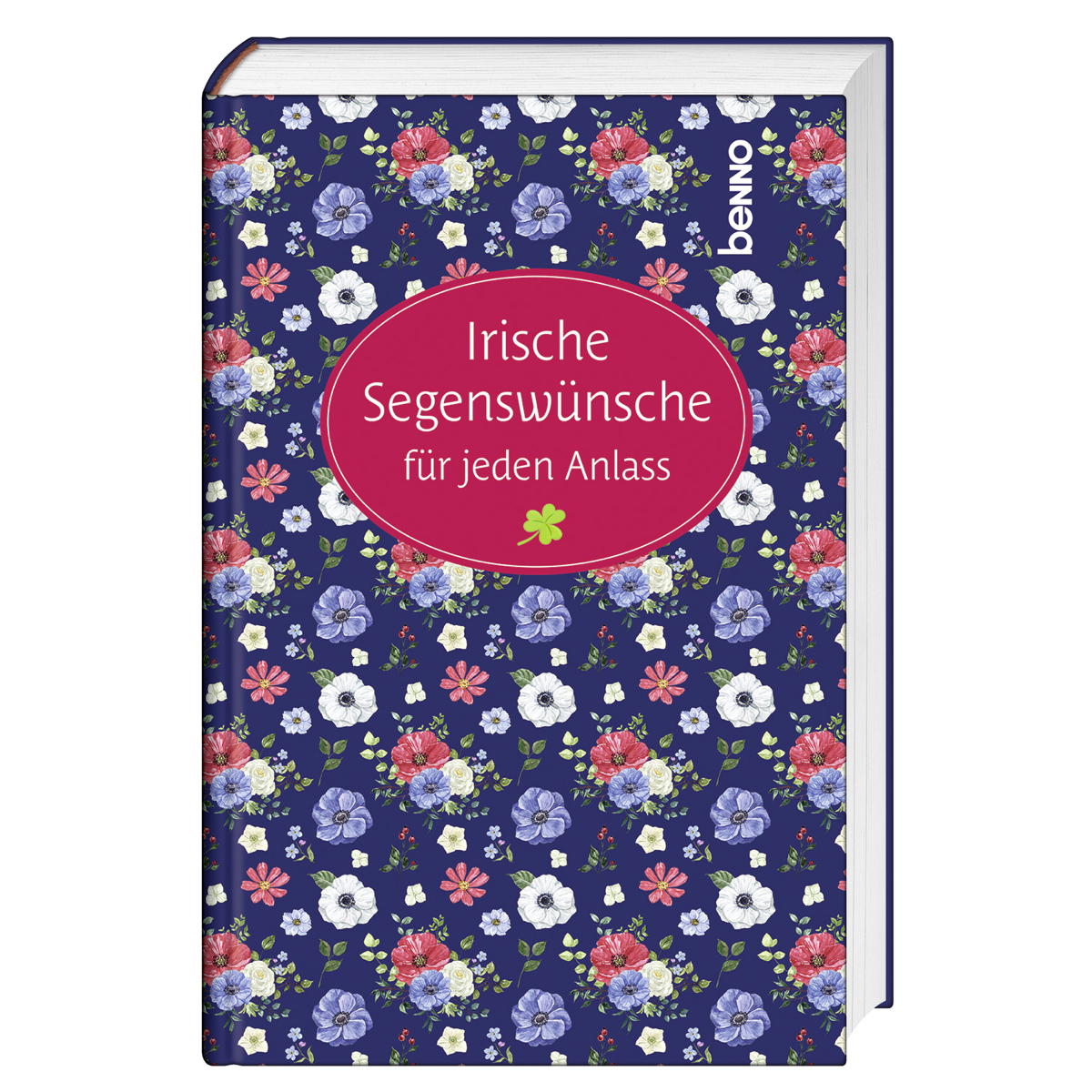 Irische Segenswünsche für jeden Anlass von St. Benno Verlag