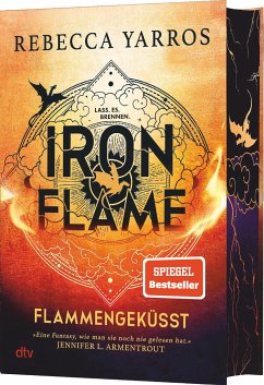 Iron Flame / Flammengeküsst Bd.2 von DTV