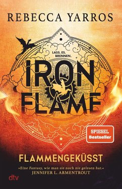 Iron Flame / Flammengeküsst Bd.2 von DTV