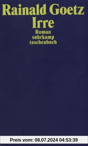 Irre: Roman (suhrkamp taschenbuch)