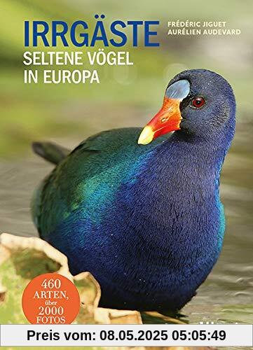 Irrgäste: Seltene Vögel in Europa