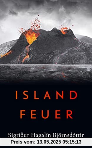 Islandfeuer: Roman (suhrkamp taschenbuch)