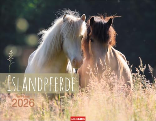 Islandpferde Kalender 2026: Fotokalender mit Porträts der charaktervollen Pferderasse. Großer Wandkalender von Sabine Stuewer. 44 x 34 cm Querformat (Tierkalender Weingarten) von Weingarten