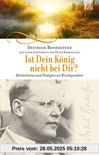 Ist Dein König nicht bei Dir?: Bibelarbeiten und Predigten an Wendepunkten Ist Dein König nicht bei Dir?: Bibelarbeiten und Predigten an Wendepunkten