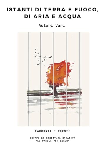 Istanti di terra e fuoco, di aria e acqua von Youcanprint