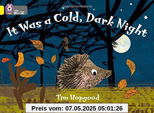 It Was a Cold Dark Night: Band 03/Yellow (Collins Big Cat: Yellow Band 3)