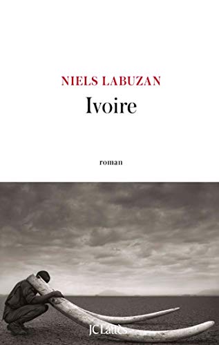 Ivoire von Jean-Claude Lattès