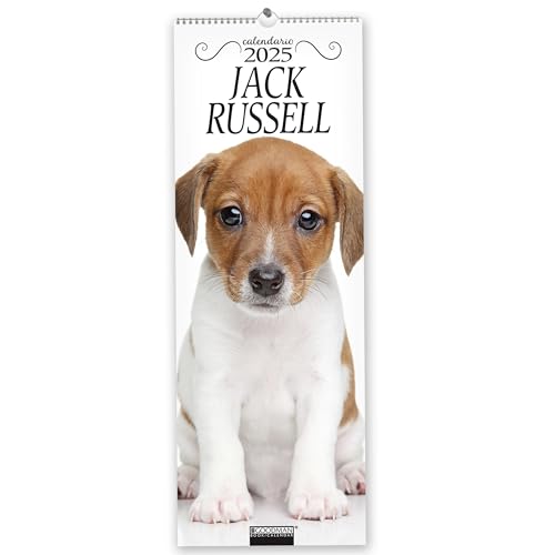Jack Russel. Calendario 2025. Long Jack Russel. Calendario 2025. Long von Sprea Editori