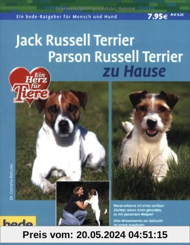 Jack Russell Terrier und Parson Russell Terrier zu Hause