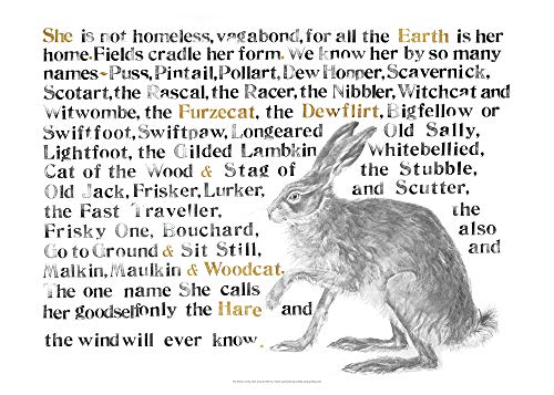 Jackie Morris The Names of the Hare Poster (Jackie Morris Posters) von Graffeg Limited
