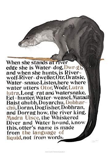 Jackie Morris The Names of the Otter Poster Jackie Morris The Names of the Otter Poster von Graffeg Limited